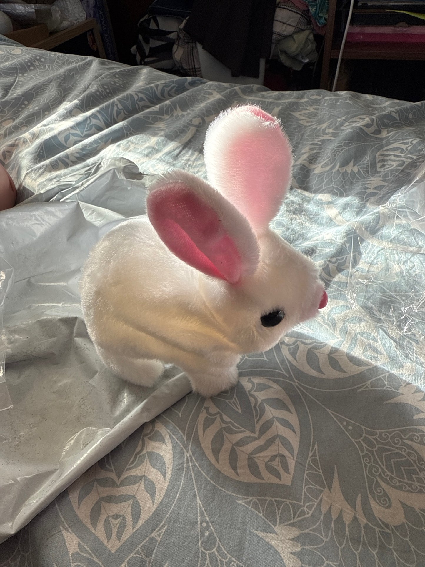 Hopping Bunny