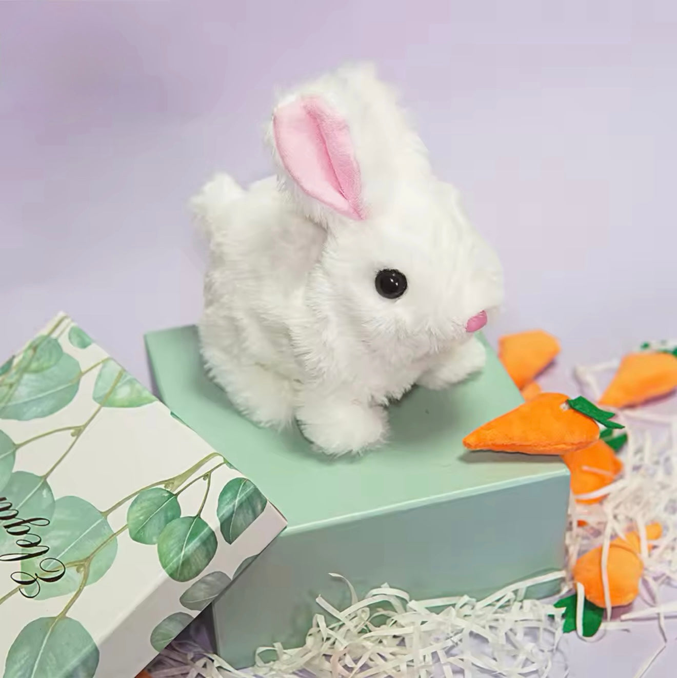 Hopping Bunny