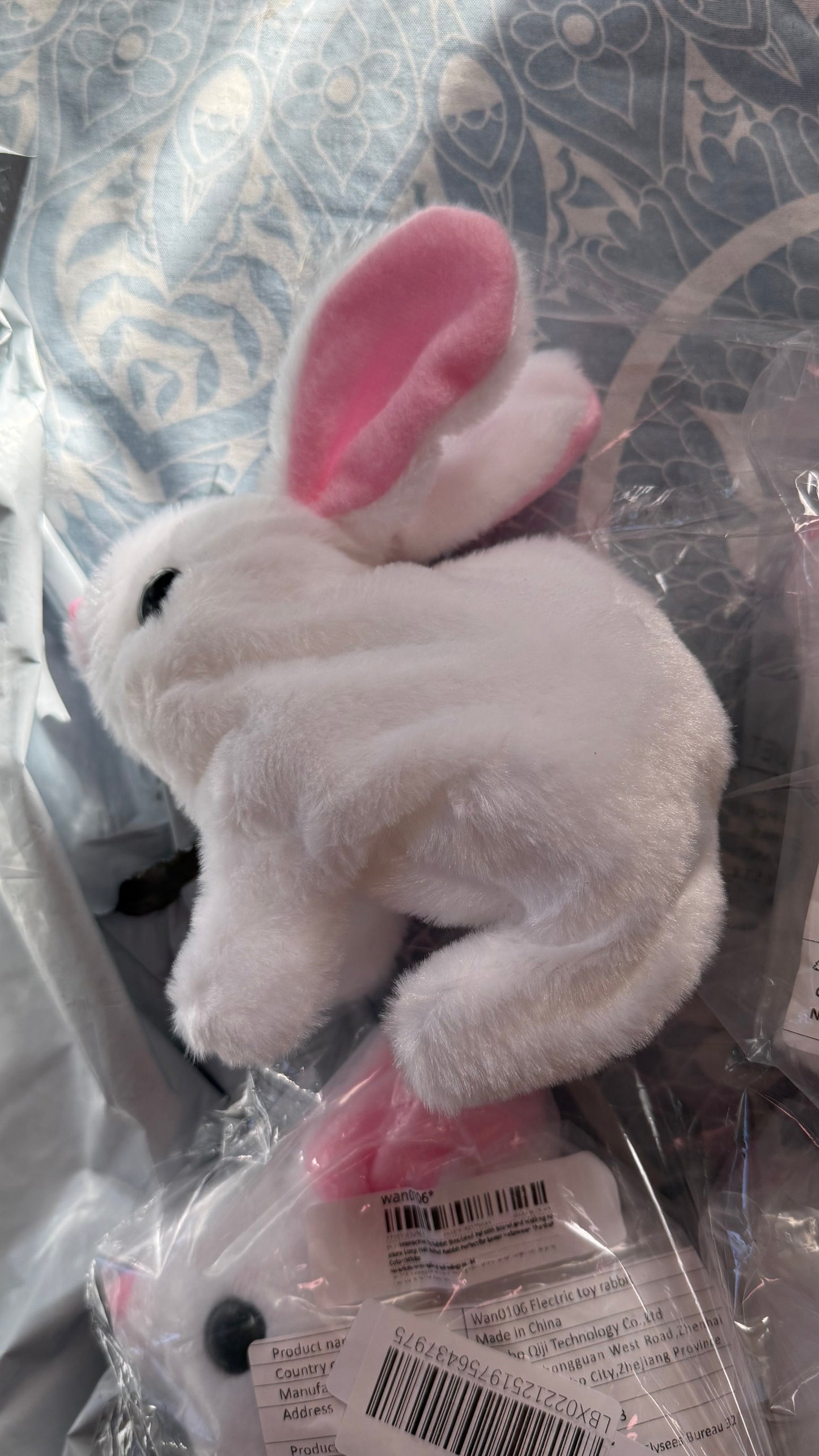 Hopping Bunny