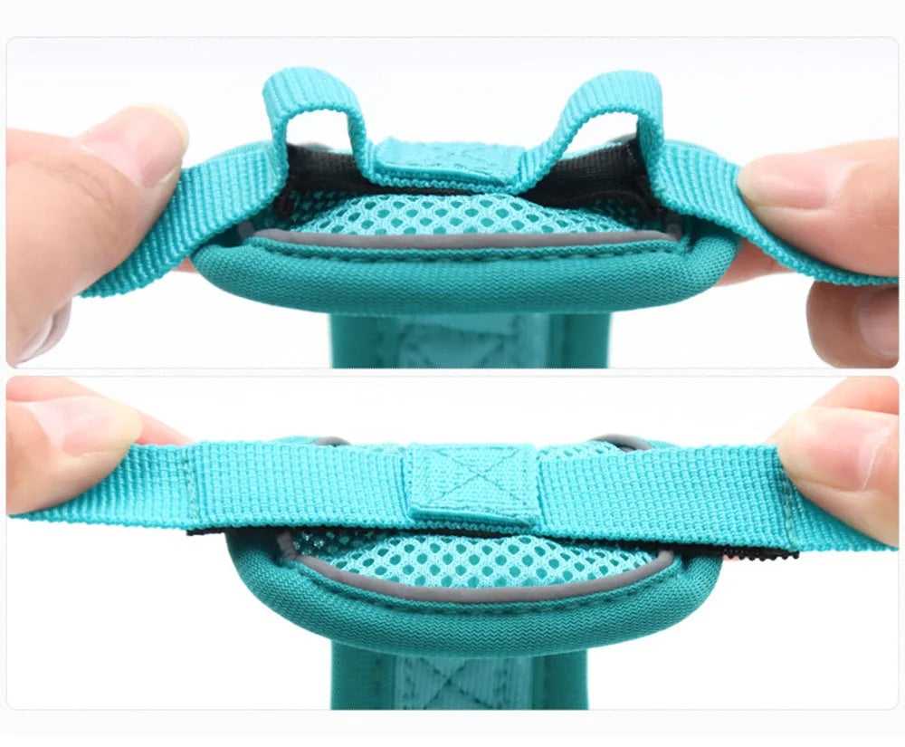 Cat Harness