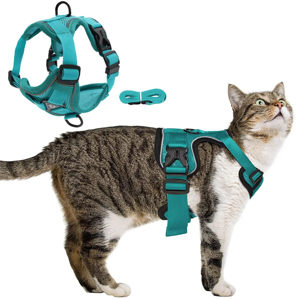 Cat Harness