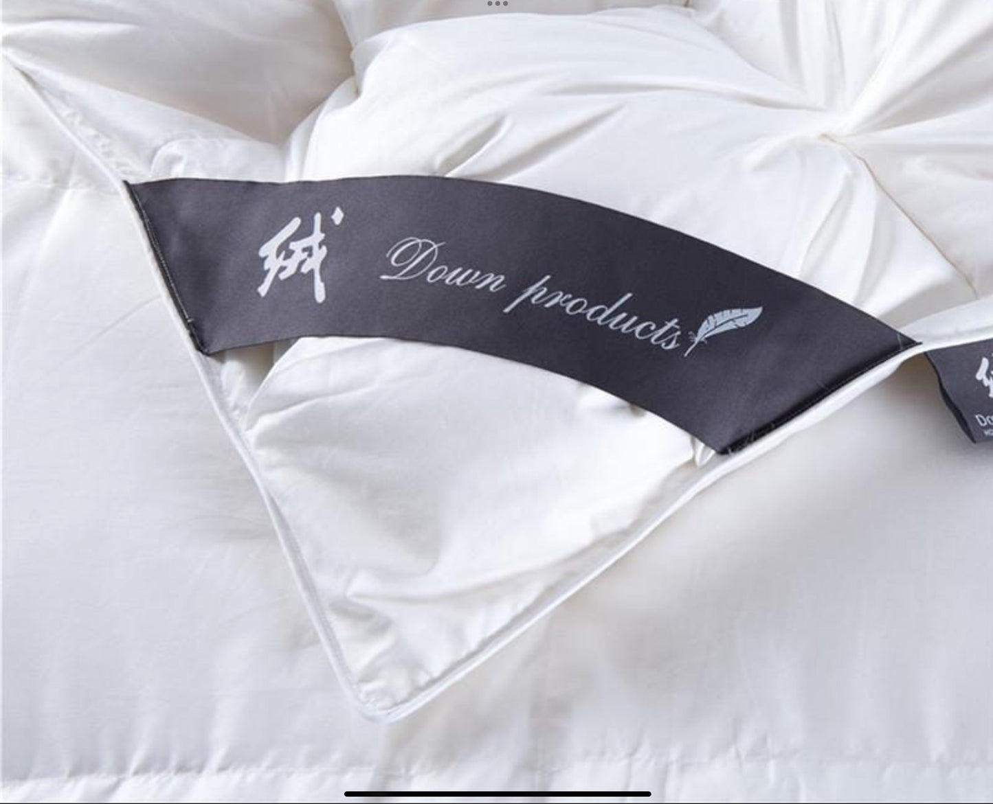 Goose Down Duvet Set