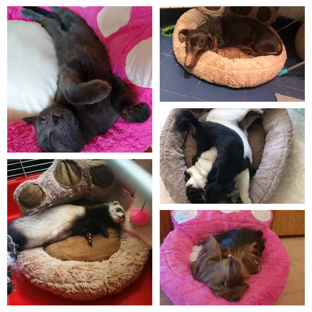 Pet Bed Winter - Perfect for winter