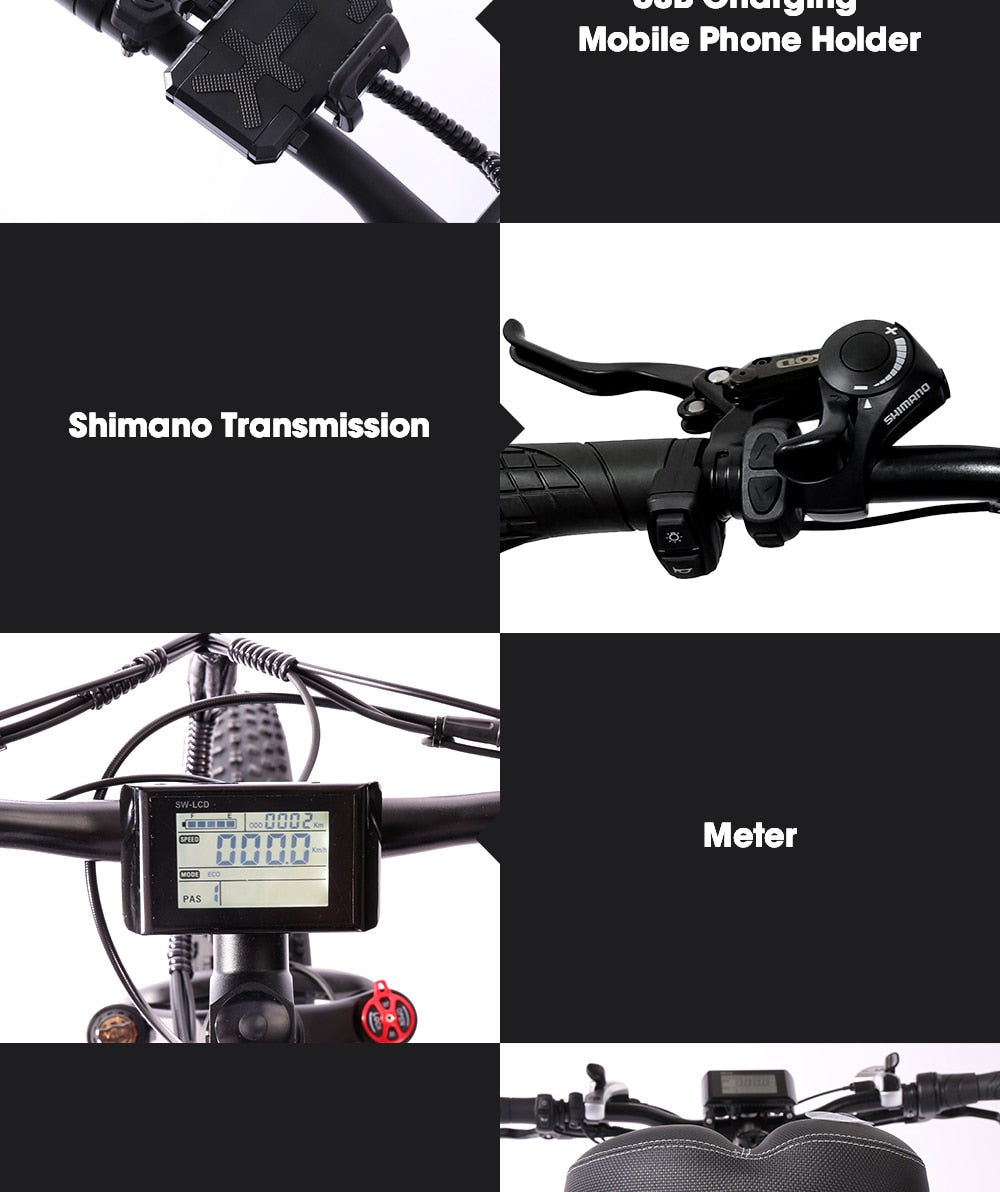 Electric Mountain Bike 48V12.8ah 1000W Max 50km/h