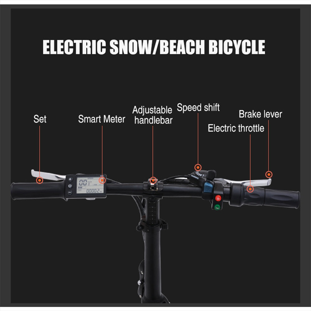 Electric bike 20 inch eBike snowbike 48V 15AH lithium battery