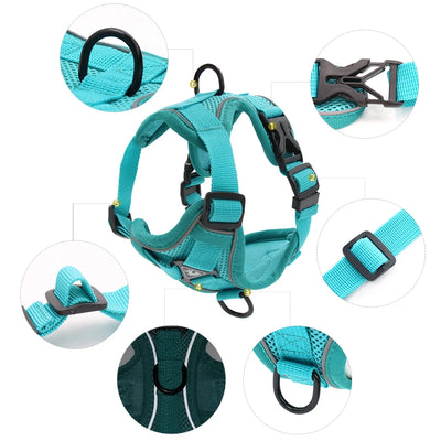 Cyan