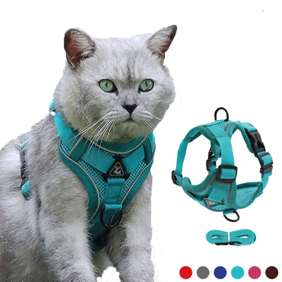 Cyan