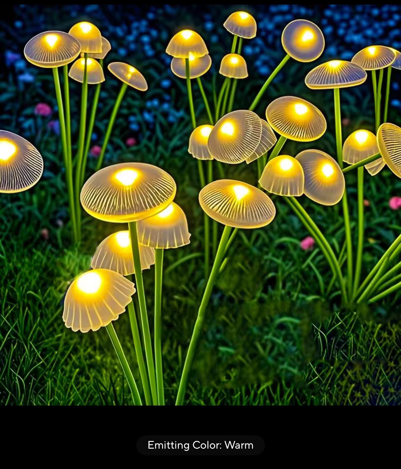 Solar Light Mushroom