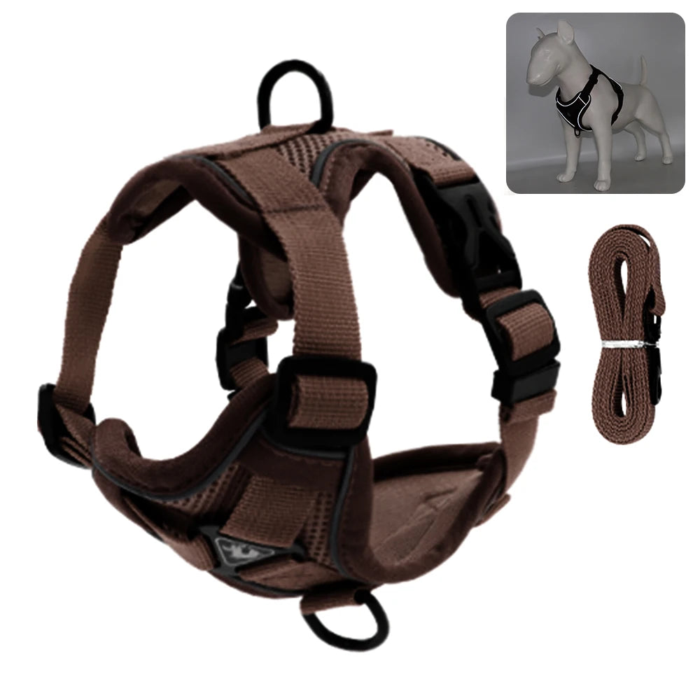 Cat Harness