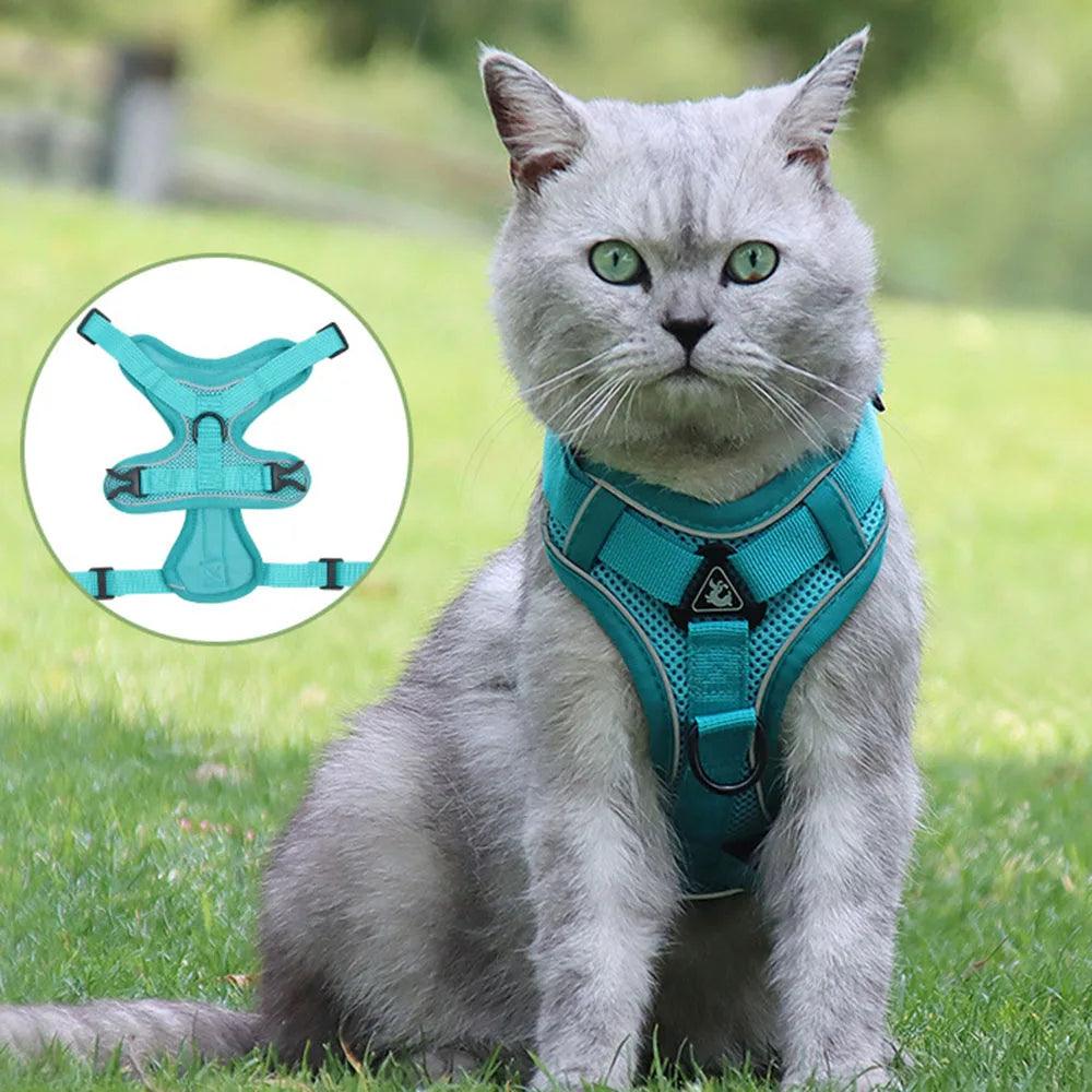 Cat Harness