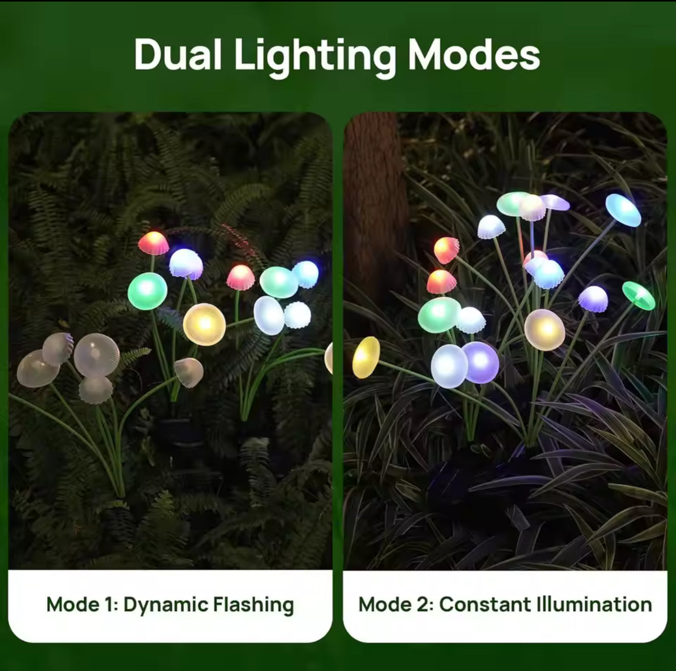 Solar Light Mushroom