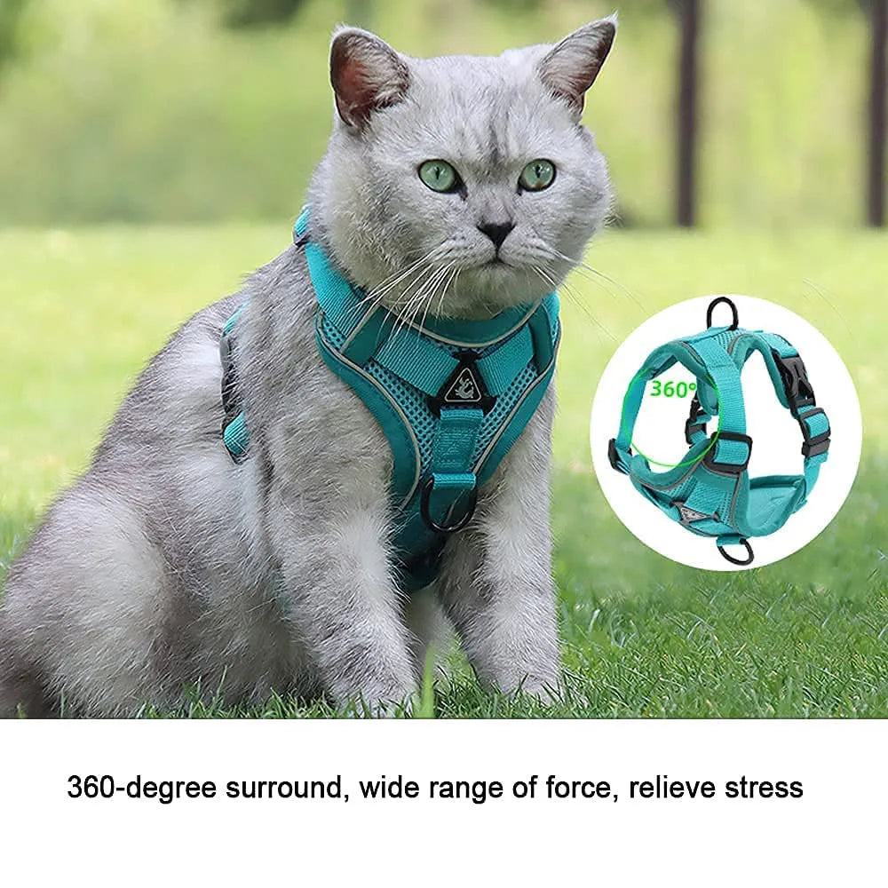 Cat Harness