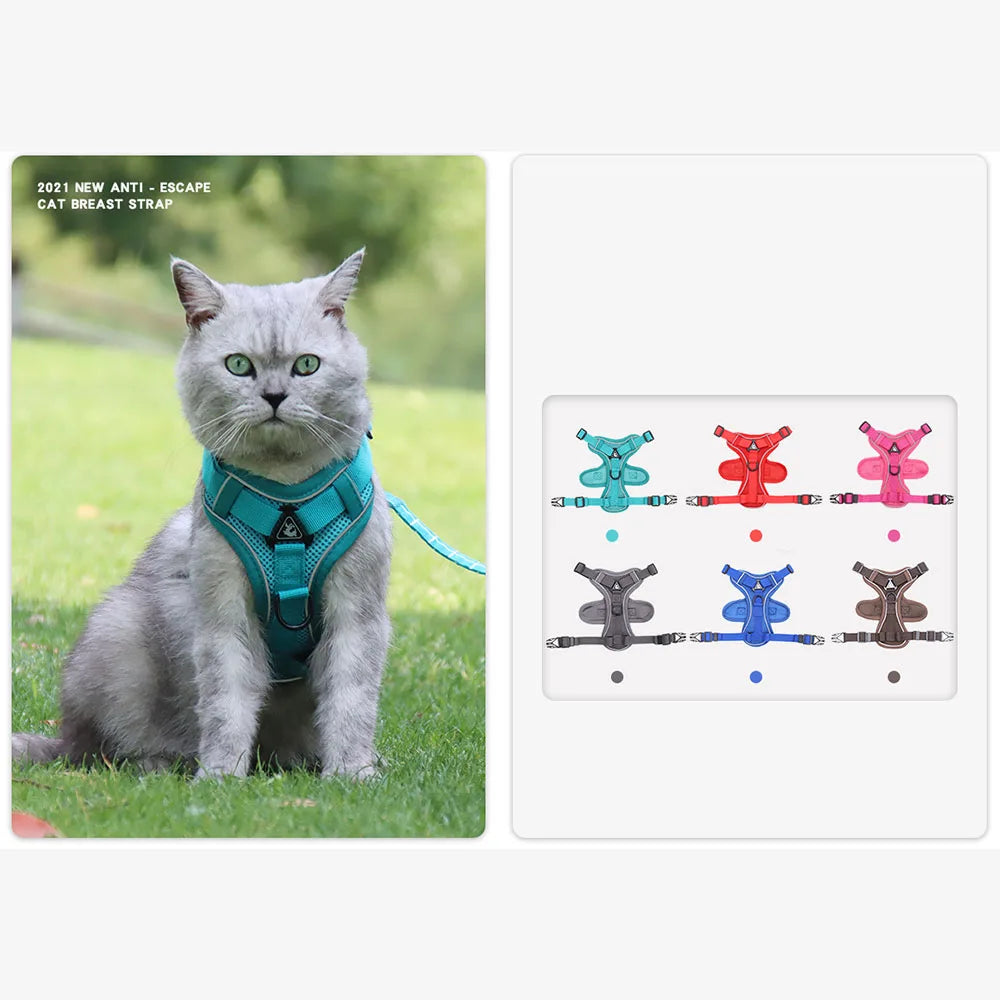 Cat Harness