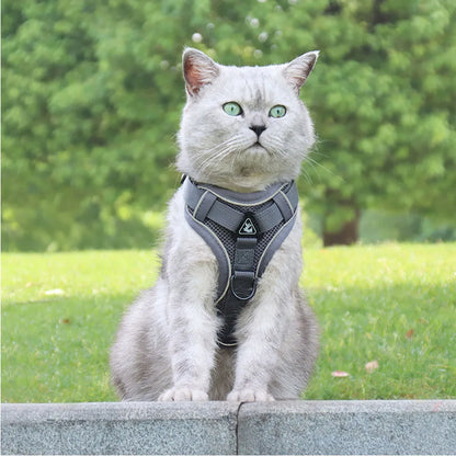 Cat Harness