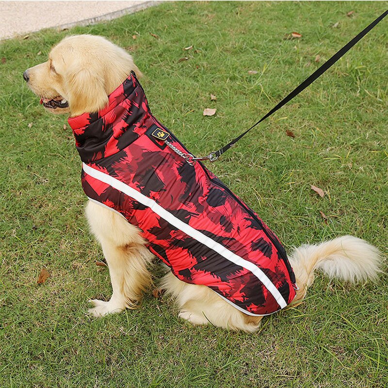 Dog Vest for Small to Large Dogs