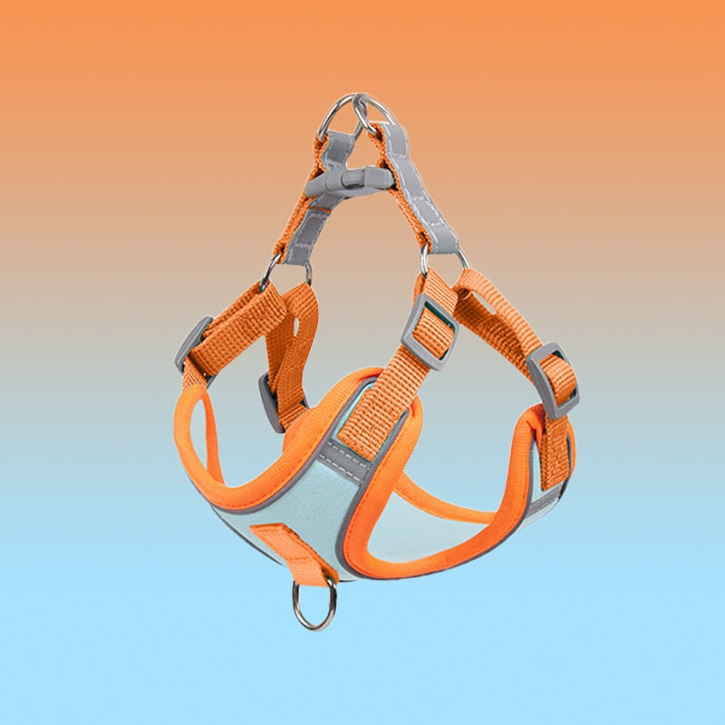 Small Dog Harness for Small Dogs - Reflective