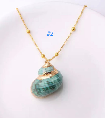 Clam Shell Necklace