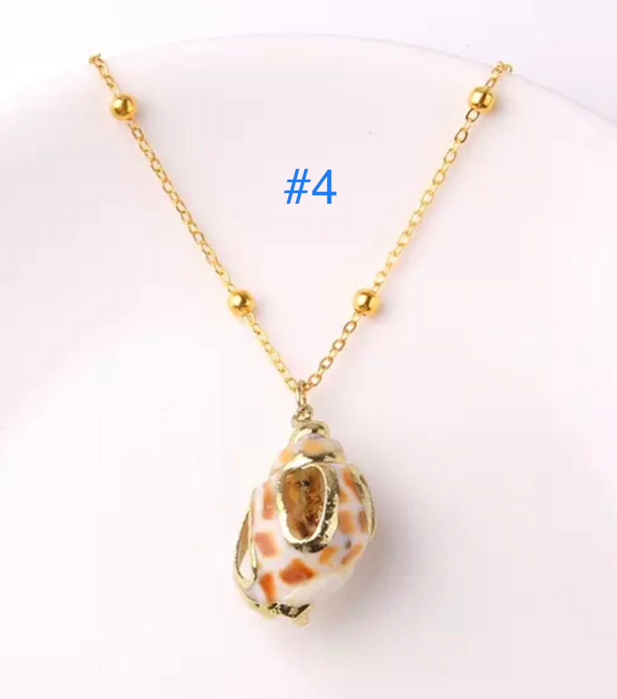 Clam Shell Necklace