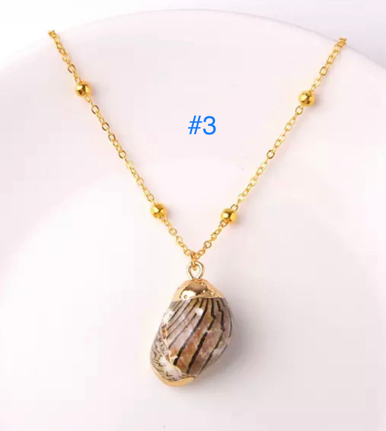 Clam Shell Necklace