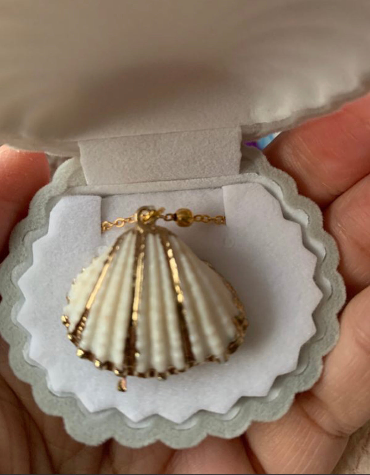 Clam Shell Necklace