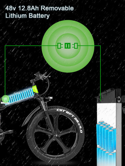 e-Bike 1000W Electric bicycle with fat tires