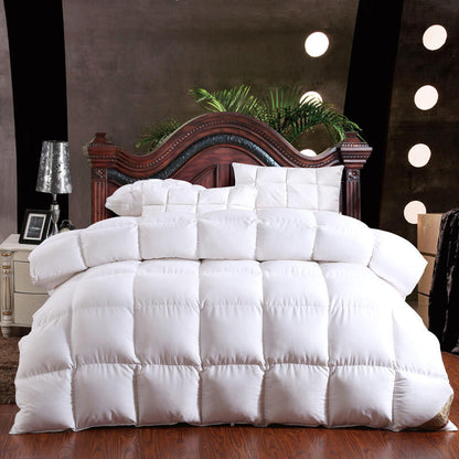 100% goose down winter duvet inner Summer or Winter